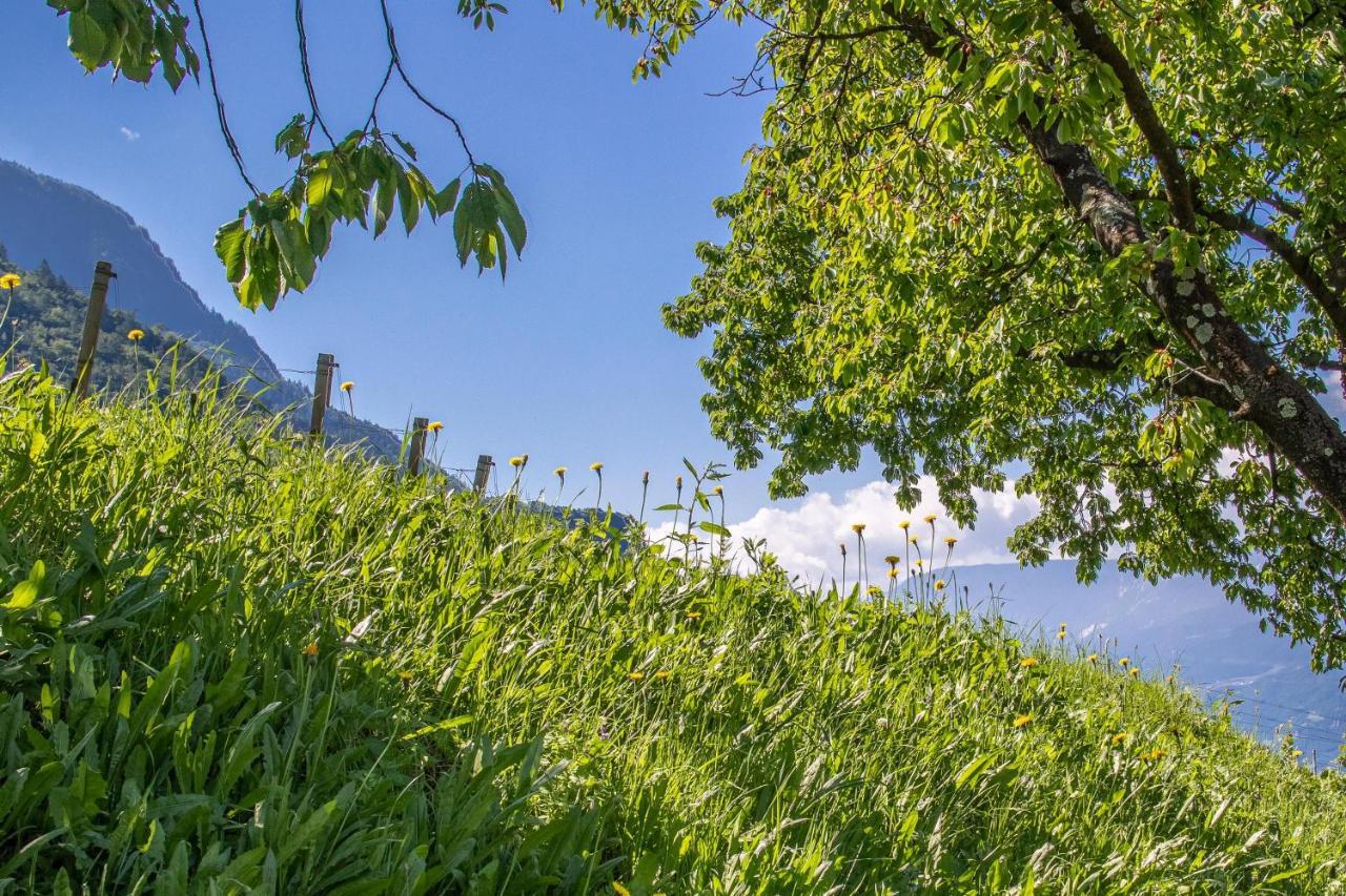 Ferienwohnung Pinot メラーノ エクステリア 写真